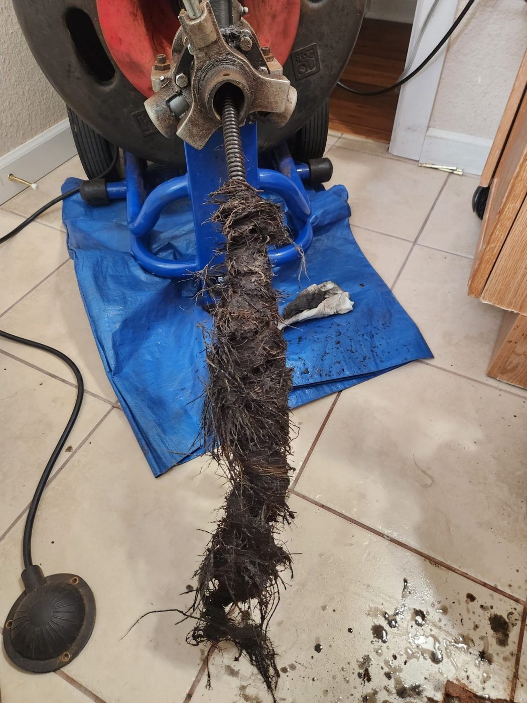 Tree root ball extracted from a residential main sewer line during a camera inspection