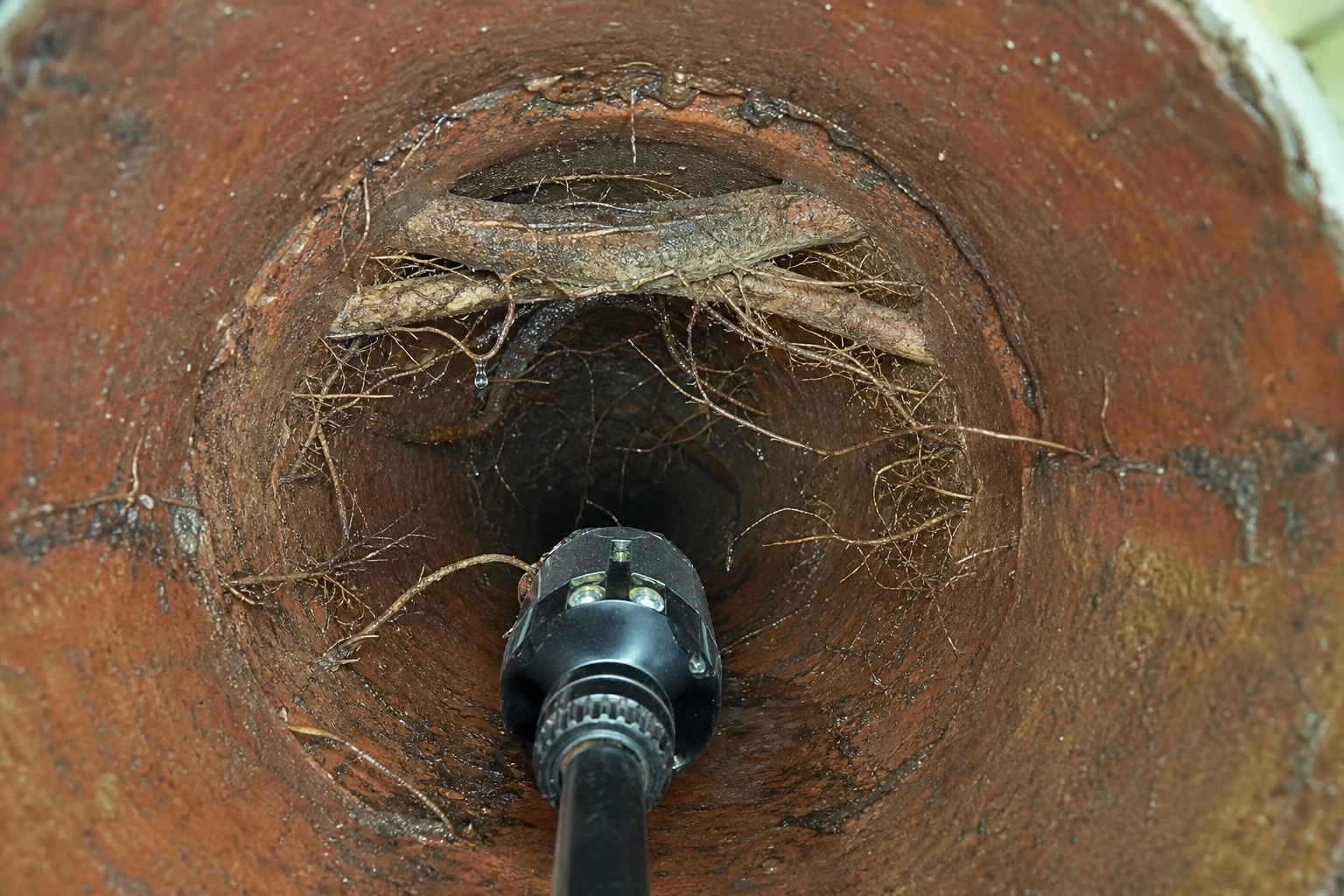 Fiber optic sewer camera head inspecting roots inside clay pipe in Aurora.