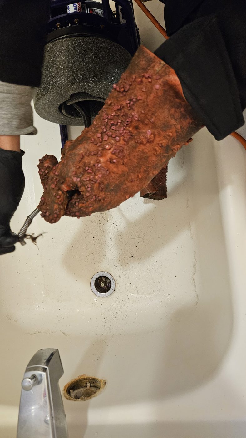 Technician holding a tree root ball pulled from a clay sewer lateral in Aurora, Colorado